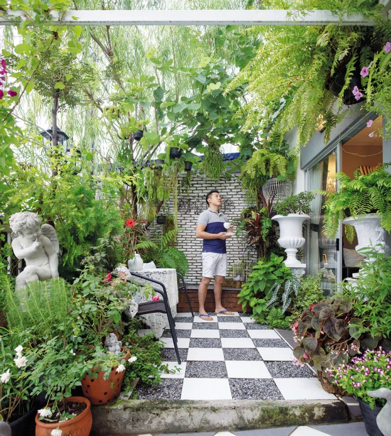 จัดสวนเอง หน้าบ้านทาวน์เฮ้าส์ พร้อมพรรณไม้ปลูกในกระถาง-บ้านและสวน