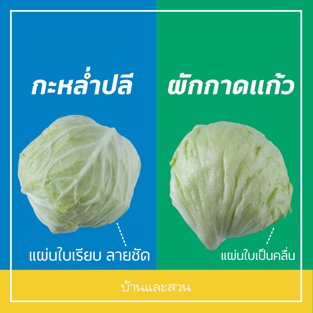 My Image 30