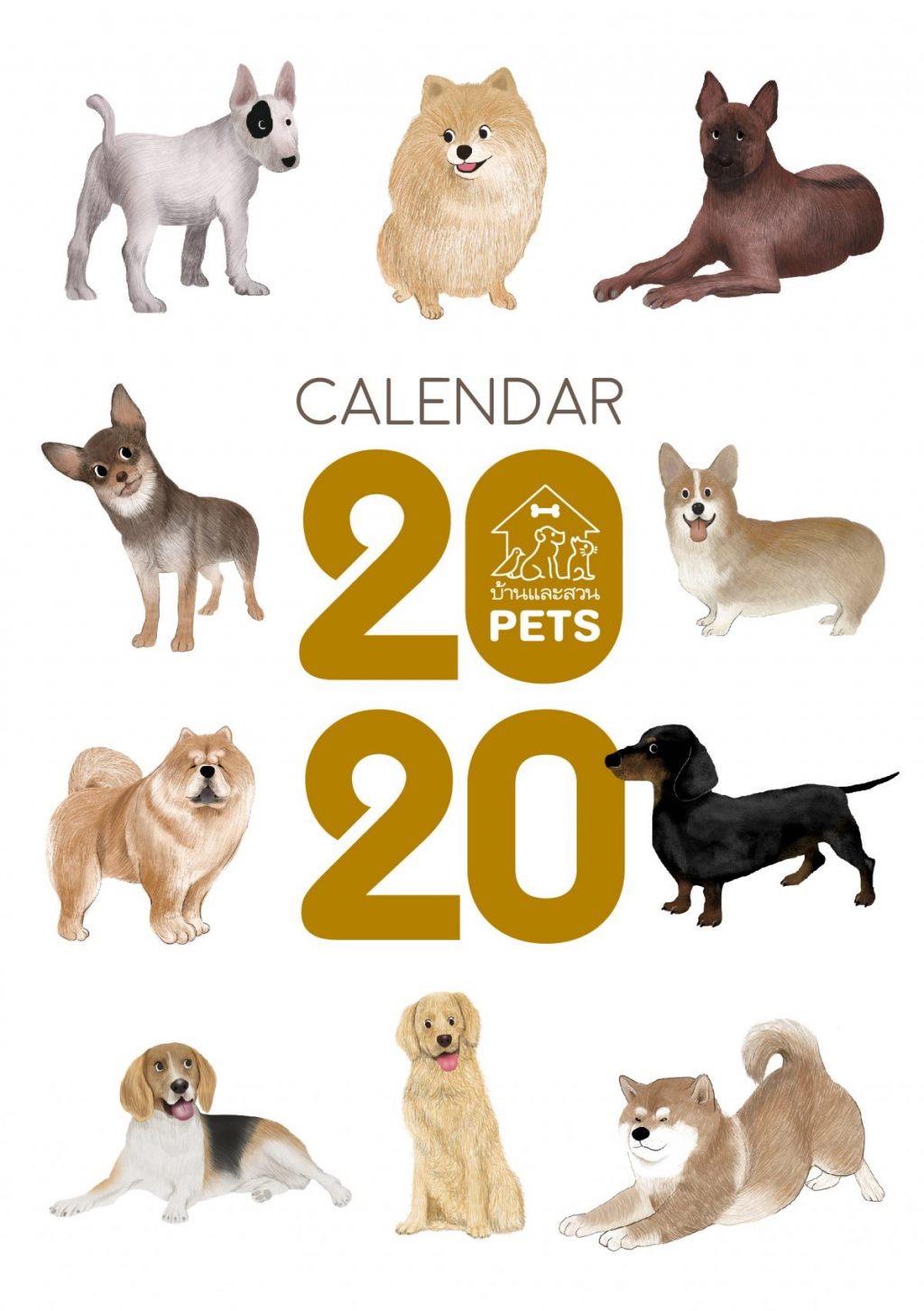 2020-2563-pets