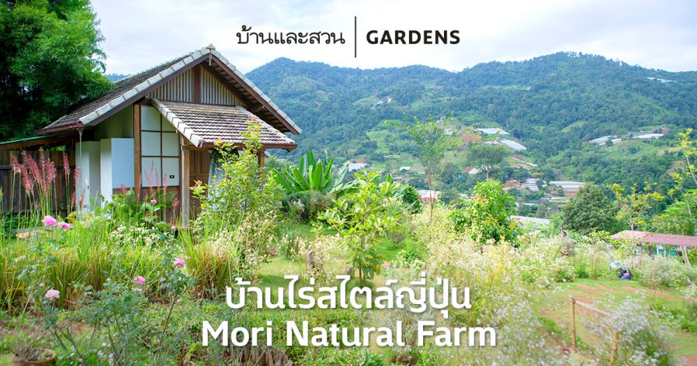 Mori Natural Farm จากพนักงานออฟฟิศ สู่ชีวิตเกษตรกรสไตล์ญี่ปุ่นบนดอย