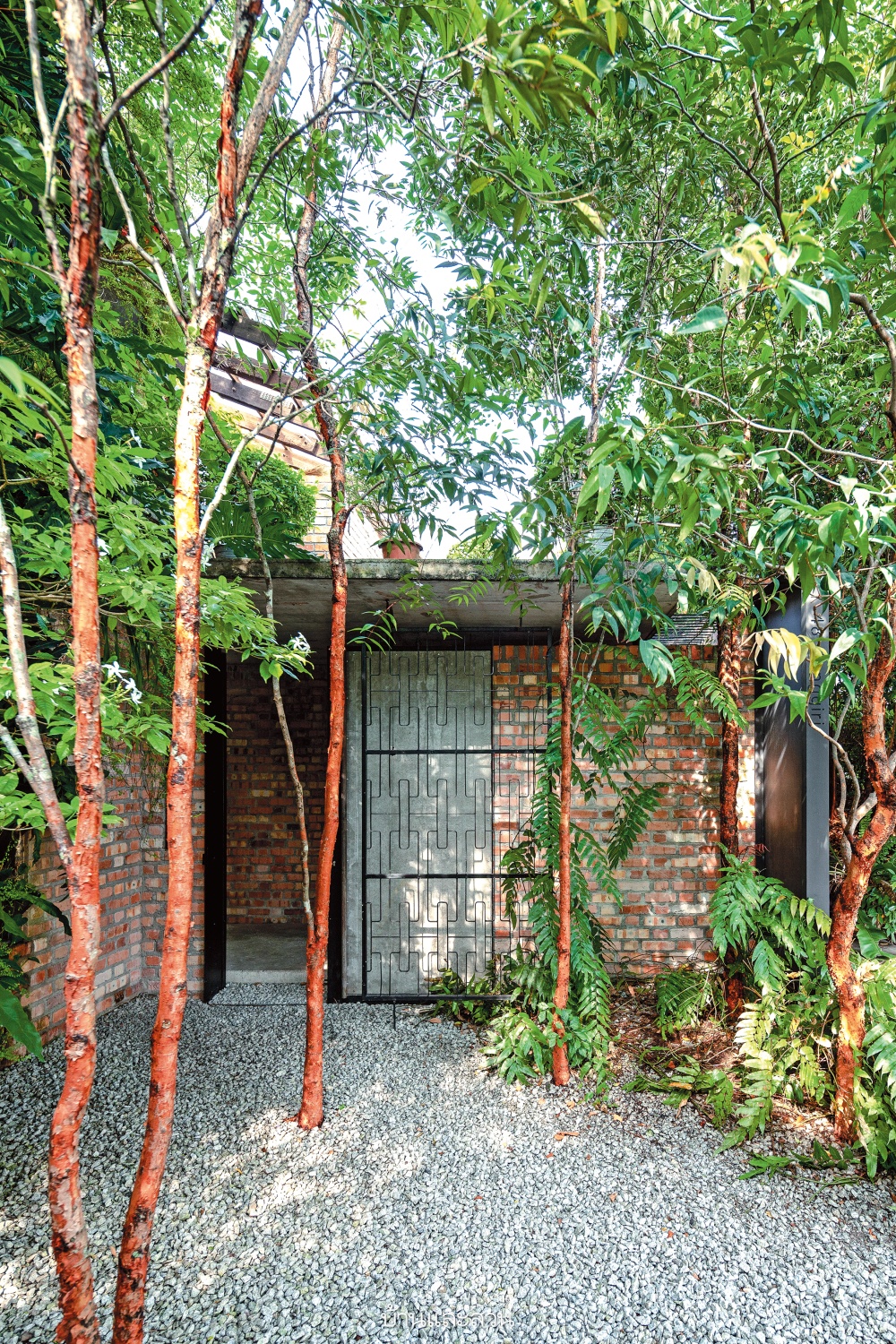 แบบบ้านโมเดิร์นทรอปิคัล เรียบง่าย กลางสวนร้อนชื้น - บ้านและสวน
