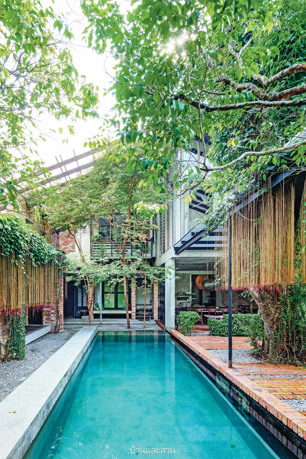 แบบบ้านโมเดิร์นทรอปิคัล เรียบง่าย กลางสวนร้อนชื้น - บ้านและสวน