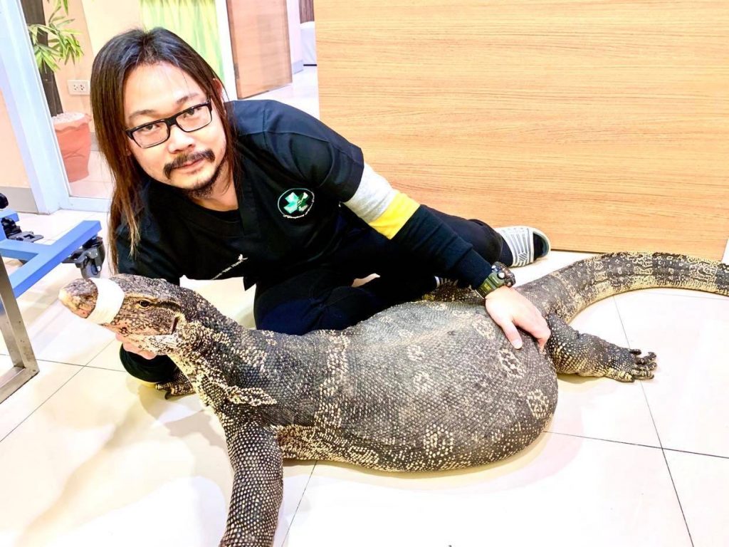 สัตว์นำเข้า หรือ Exotic Pet คืออะไร ควรเตรียมตัวอย่างไร บ้านและสวน