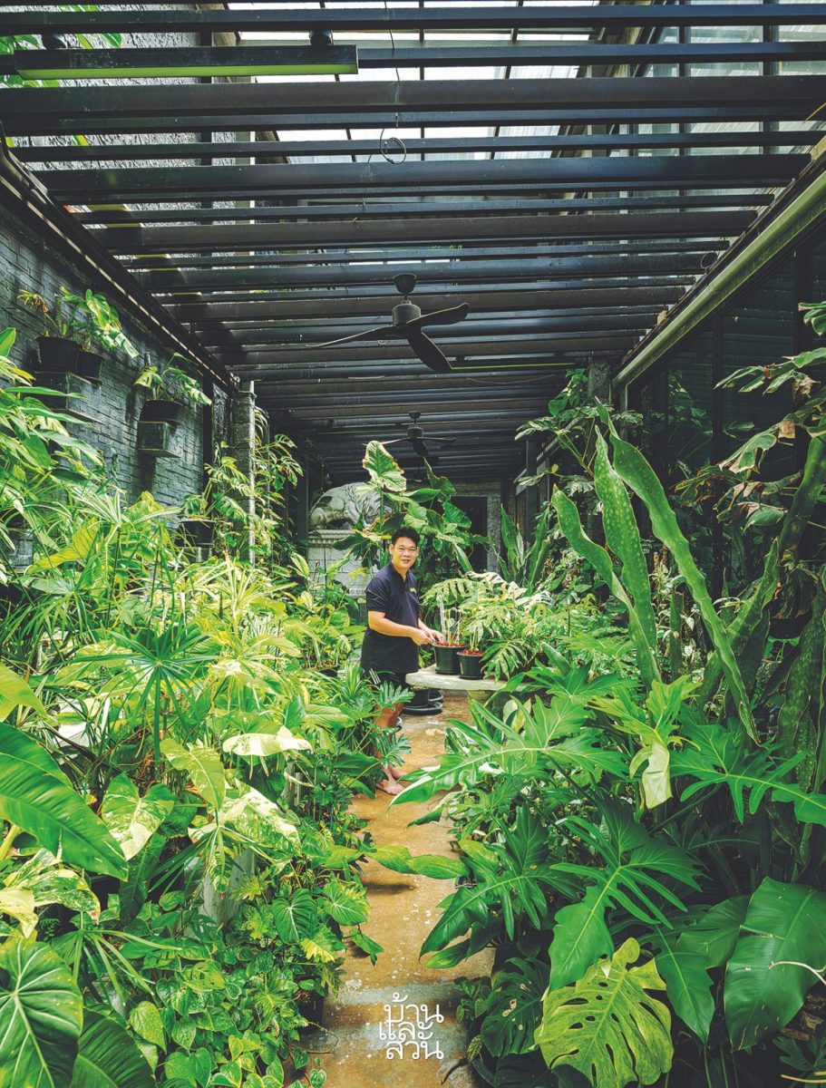 greenhouse-plant-collector