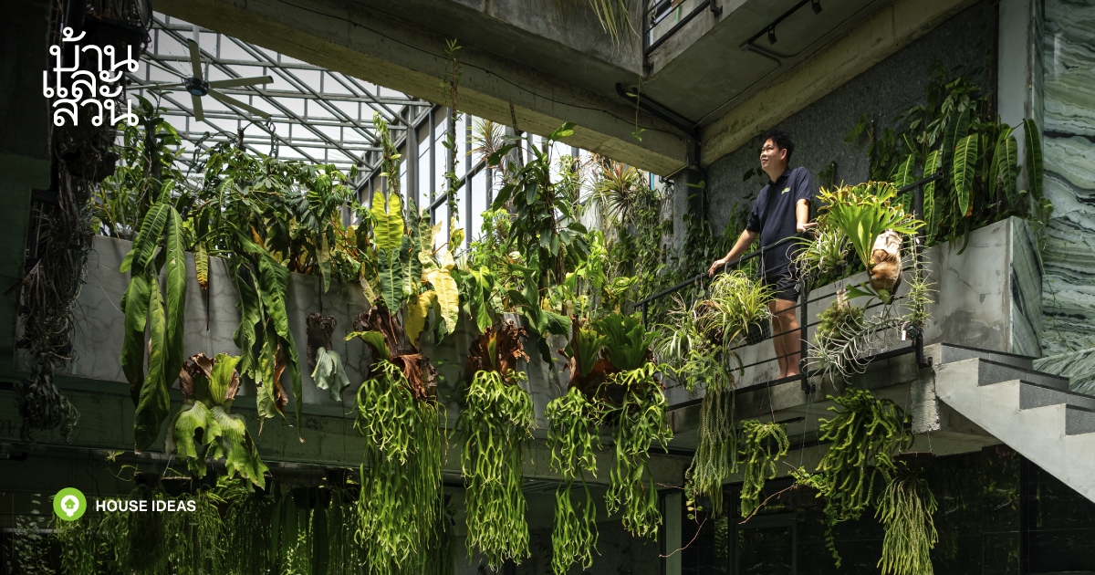 greenhouse-plant-collector